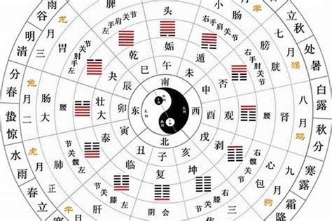 什么是天干地支|一文读懂：天干地支、24节气究竟是怎么来的？蕴藏着什么秘密？